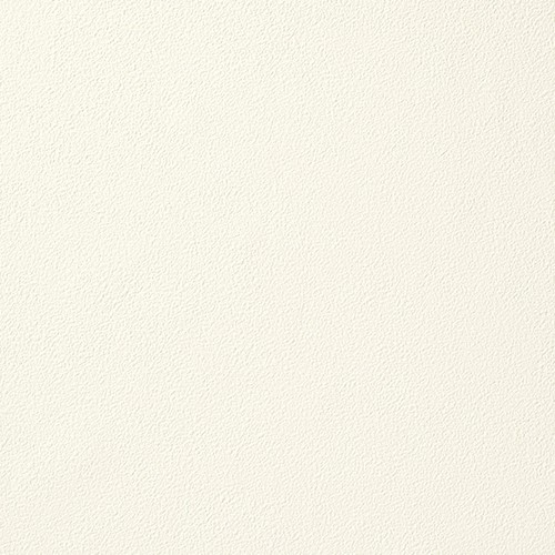 空気を洗う壁紙 Paint Touch  天井用