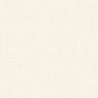 空気を洗う壁紙 Paint Touch  天井用