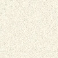 空気を洗う壁紙　Paint Touch  天井用