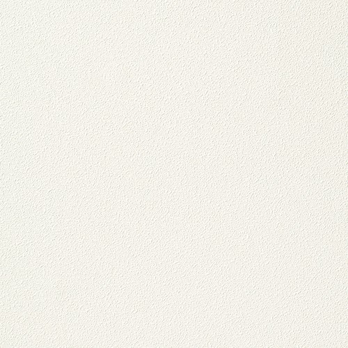 空気を洗う壁紙 Paint Touch  天井用