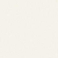 空気を洗う壁紙 Paint Touch  天井用