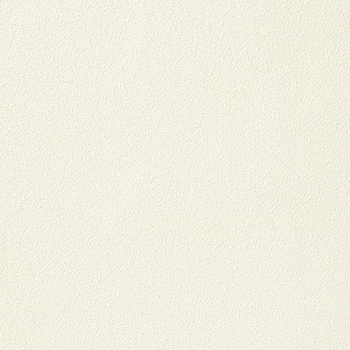 空気を洗う壁紙 Paint Touch  天井用