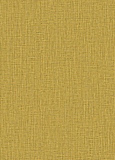 空気を洗う壁紙 不燃 スタンダード ディープカラー