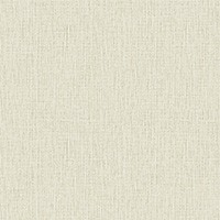 空気を洗う壁紙　不燃　スタンダード　シック