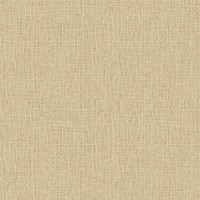 空気を洗う壁紙　不燃　スタンダード　シック
