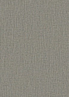 空気を洗う壁紙/不燃/織物調壁紙