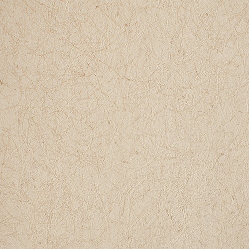 カラーバリエーション豊かな和調壁紙