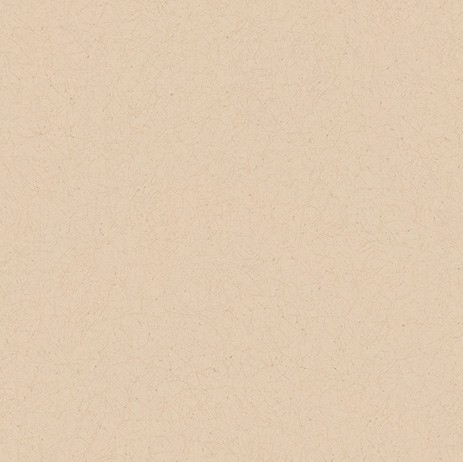 カラーバリエーション豊かな和調壁紙