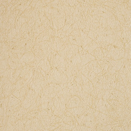 カラーバリエーション豊かな和調壁紙