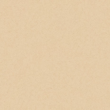 カラーバリエーション豊かな和調壁紙