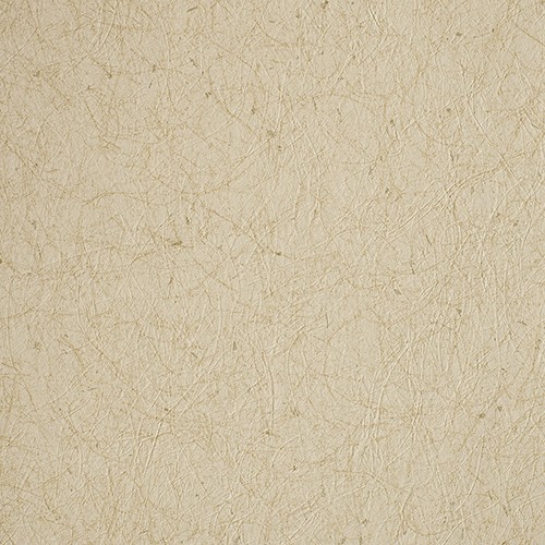 カラーバリエーション豊かな和調壁紙