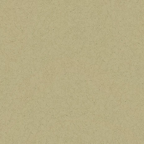 カラーバリエーション豊かな和調壁紙