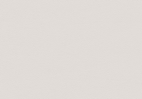 天井&リフォームおすすめ厚めモコモコ壁紙