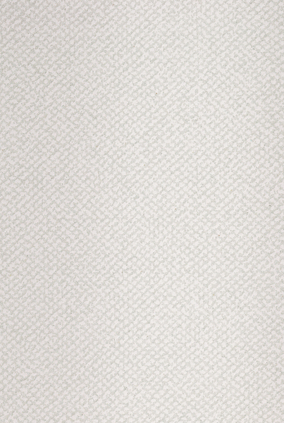 Lattice-Stripe- キラキラとした質感のストライプ