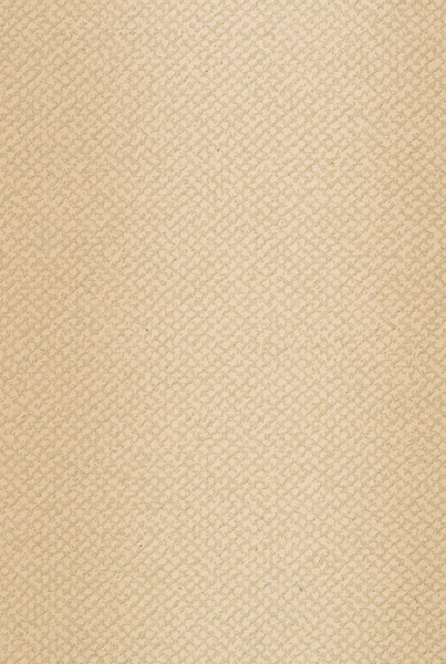 Lattice-Stripe- キラキラとした質感のストライプ