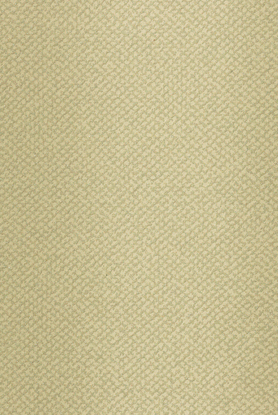 Lattice-Stripe- キラキラとした質感のストライプ