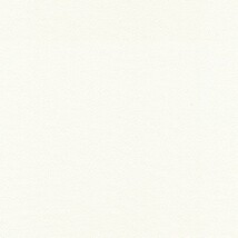 ホワイト 塗り壁調  表面強化 防かび SINCOL BB2017 旧品番BB8373