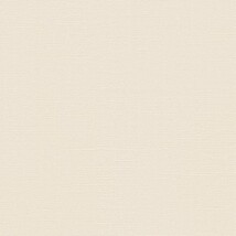 ベージュ 織物調 スーパーハードタイプ 汚れ防止 抗菌 表面強化 防かび SINCOL BB2143 