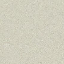 ライトグレー 塗り壁調 トルウイルスS/耐クラック 抗ウィルス 抗菌 防かび SINCOL BB2152 旧品番BB8345