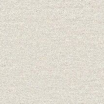 ライトグレー 塗り壁調 トルウイルスS/耐クラック 抗ウィルス 抗菌 防かび SINCOL BB2180 