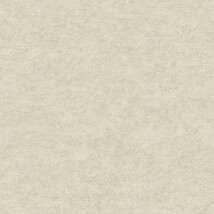 ライトグレー 抽象デザイン 光触媒/ハードタイプ 防かび 抗菌 表面強化 消臭 SINCOL BB2201 旧品番BB8098