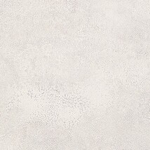 ライトグレー コンクリート・モルタル  防かび SINCOL BB2415 旧品番BB8393