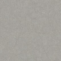 グレー コンクリート・モルタル  防かび 抗菌 撥水 SINCOL BB2421 旧品番BB8396