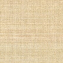 イエロー 織物調 光触媒 消臭 抗菌 防かび SINCOL BB8022 
