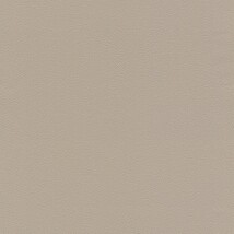 ライトグレー 塗り壁調  防かび SINCOL BB8220 旧品番BB9293