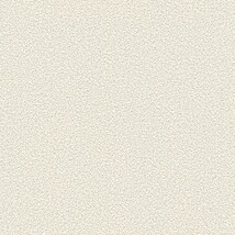 ライトグレー 塗り壁調 耐クラック 防かび 抗菌 撥水 SINCOL BB8581 旧品番BB9471