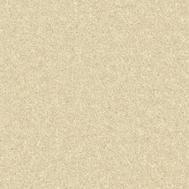 グリーン 塗り壁調 光触媒 消臭 抗菌 防かび SINCOL BB8584 