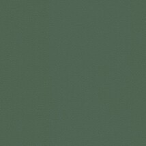 グリーン ストーン  表面強化 防かび SINCOL BB9340