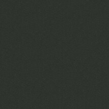 ブラック ストーン  表面強化 防かび SINCOL BB9341