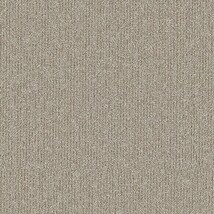 ライトブラウン 塗り壁調  防かび SINCOL BB9555