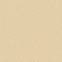 ベージュ 塗り壁調  防かび SINCOL BB9556