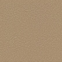 ライトブラウン 塗り壁調  防かび SINCOL BB9557