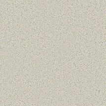 ライトグレー 塗り壁調  防かび SINCOL BB9559