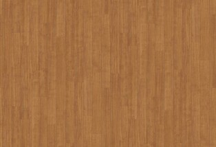 ブラウン ノンワックスコーティング+衝撃吸収＋抗菌+抗ウイルス+消臭+防かび 東リ CF3721 旧品番CF3533