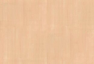 ライトブラウン 抗ウイルス＋抗菌 東リ CF9544
