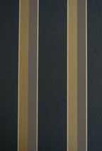 ブラック ストライプ CASADECO  1ロール10m DERB89329457 輸入壁紙