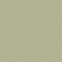 グリーン 塗り壁調  防かび 抗菌 撥水  サンゲツ FE76031