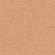 オレンジ 塗り壁調  防かび 抗菌 撥水  サンゲツ FE76042