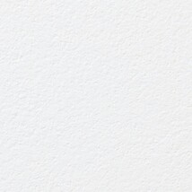 ホワイト 塗り壁調  汚れ防止 抗菌 防かび  サンゲツ FE76101 旧品番FE74519