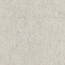 ライトグレー 塗り壁調  防かび 抗菌 撥水  サンゲツ FE76131 