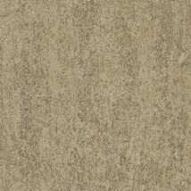 ライトブラウン 塗り壁調  防かび 抗菌 撥水  サンゲツ FE76132 