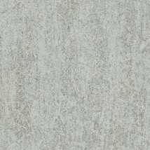グレー 塗り壁調  防かび 抗菌 撥水  サンゲツ FE76134 