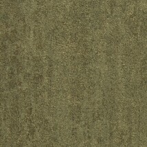 グリーン 塗り壁調  防かび 抗菌 撥水  サンゲツ FE76135 