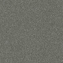 ダークグレー 塗り壁調  防かび 抗菌  サンゲツ FE76145 旧品番FE74037
