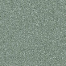 グリーン 塗り壁調  防かび 抗菌  サンゲツ FE76147 