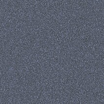 ダークブルー 塗り壁調  防かび 抗菌  サンゲツ FE76148 
